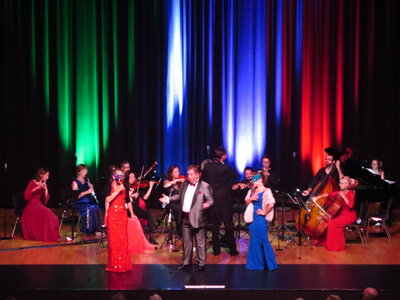 Foto des Albums: Die große Johann Strauss Revue