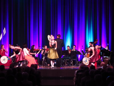 Foto des Albums: Die große Johann Strauss Revue