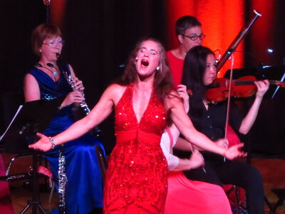 Foto des Albums: Die große Johann Strauss Revue