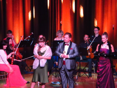 Foto des Albums: Die große Johann Strauss Revue
