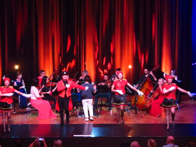 Foto des Albums: Die große Johann Strauss Revue