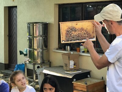 Foto des Albums: Bienenkorb statt Schulbank