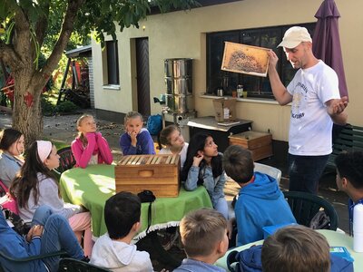 Foto des Albums: Bienenkorb statt Schulbank