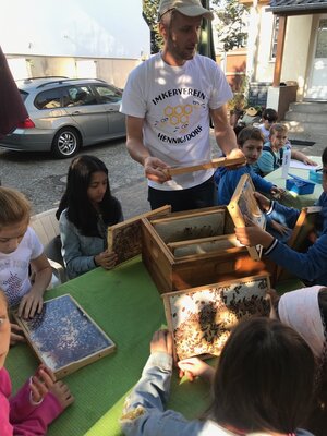 Foto des Albums: Bienenkorb statt Schulbank