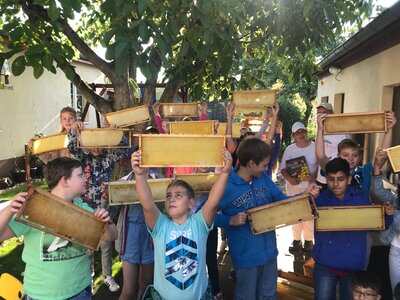 Foto des Albums: Bienenkorb statt Schulbank