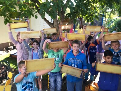 Foto des Albums: Bienenkorb statt Schulbank