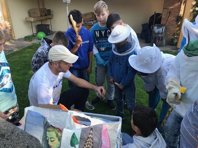 Foto des Albums: Bienenkorb statt Schulbank