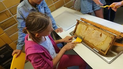Foto des Albums: Bienenkorb statt Schulbank