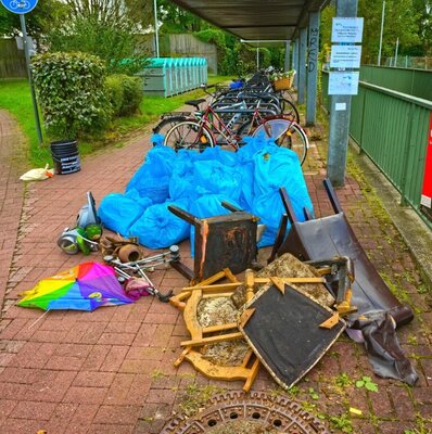 Foto des Albums: MainCleanUp and more - Müllsammelaktion!
