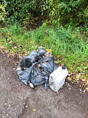 Foto des Albums: MainCleanUp and more - Müllsammelaktion!