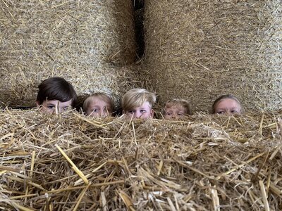 Foto des Albums: Wandertag 4c zur Forstfarm