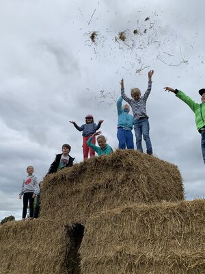 Foto des Albums: Wandertag 4c zur Forstfarm
