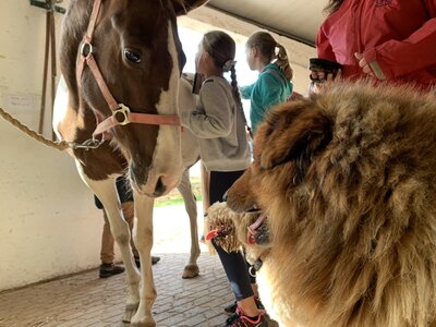Foto des Albums: Wandertag 4c zur Forstfarm