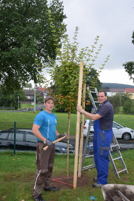 Foto des Albums: Pflanzaktion in der KiTa Schondra (15.09.2021)