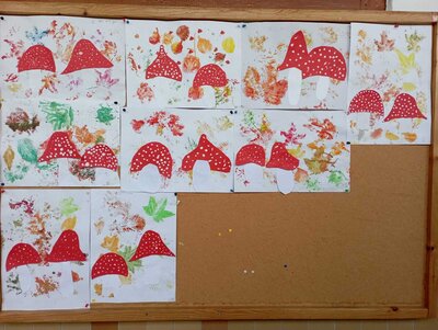 2c - Pilze im Herbst 