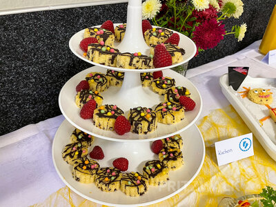 Foto des Albums: Pritzwalker Babys wurden begrüßt