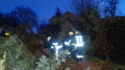 Vorschaubild: Unwetter im Stadtgebiet 19