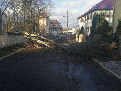 Vorschaubild: Unwetter im Stadtgebiet 6