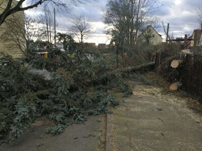 Vorschaubild: Unwetter im Stadtgebiet 8