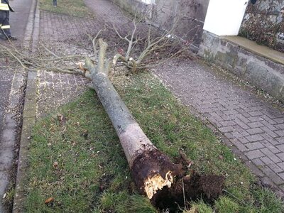 Vorschaubild: Unwetter im Stadtgebiet 9