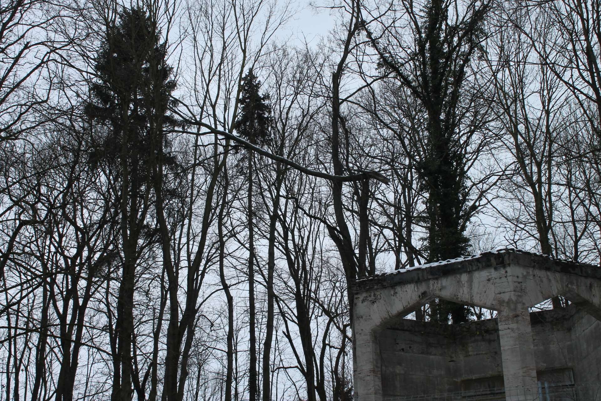Bild: Unwetter im Stadtgebiet