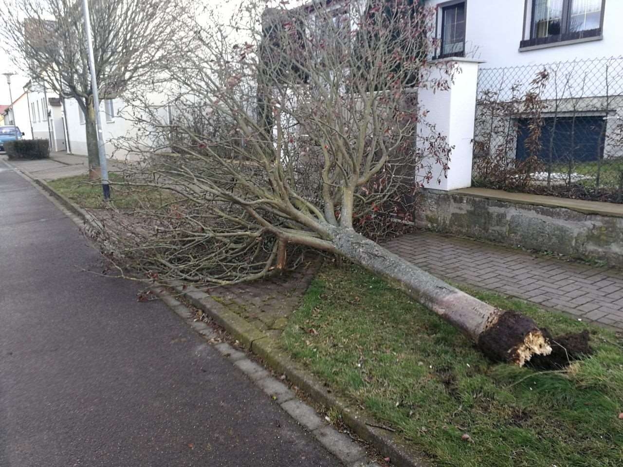 Bild: Unwetter im Stadtgebiet 12