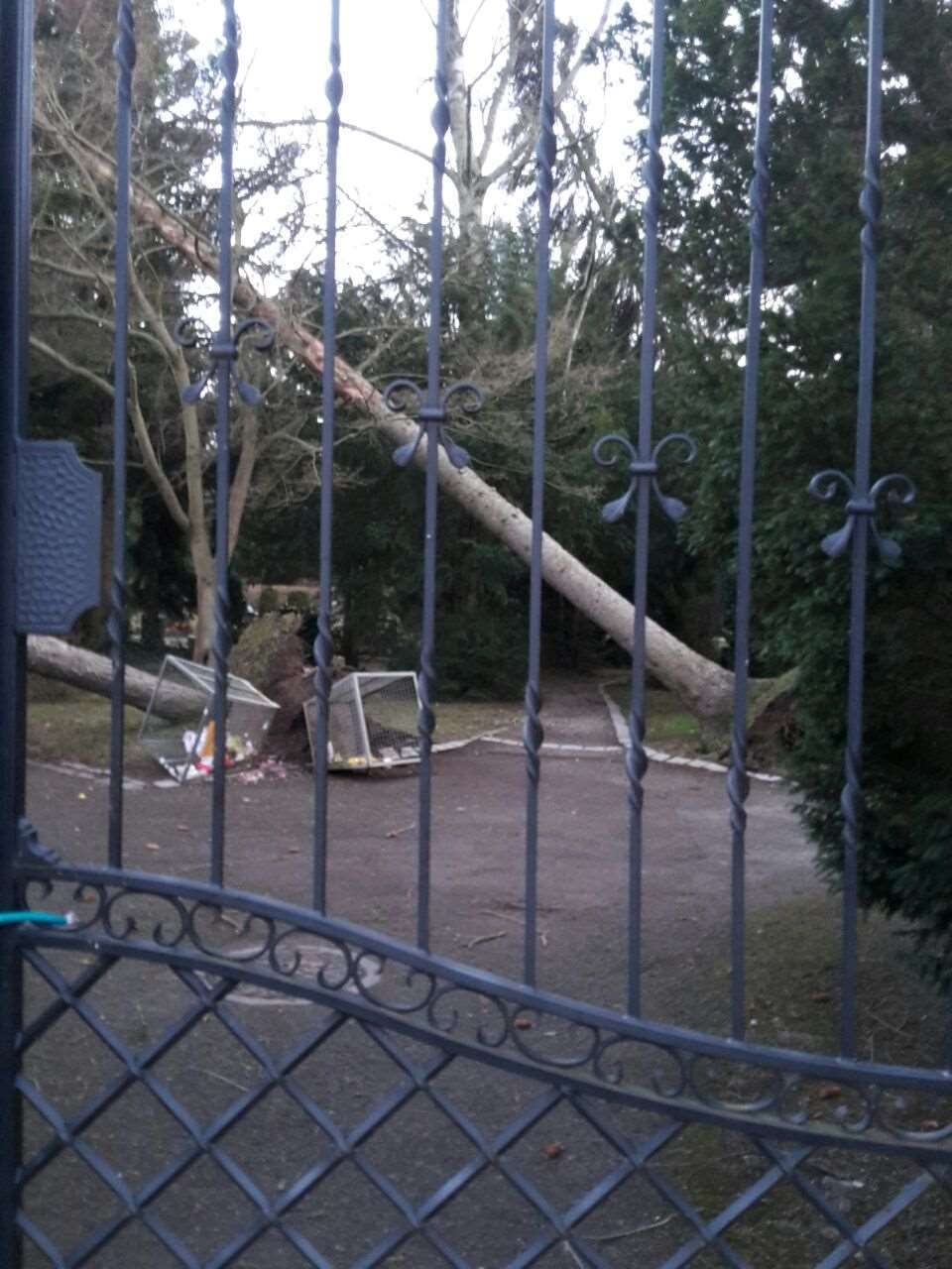 Bild: Unwetter im Stadtgebiet 2