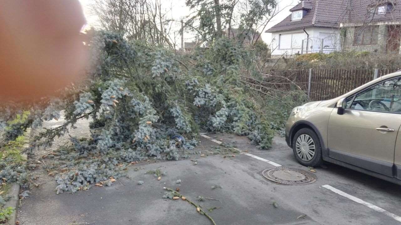 Bild: Unwetter im Stadtgebiet 4