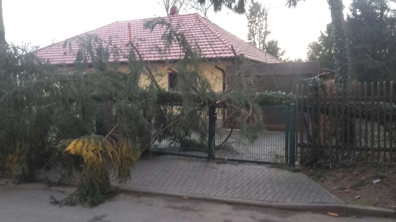Bild: Unwetter im Stadtgebiet 7