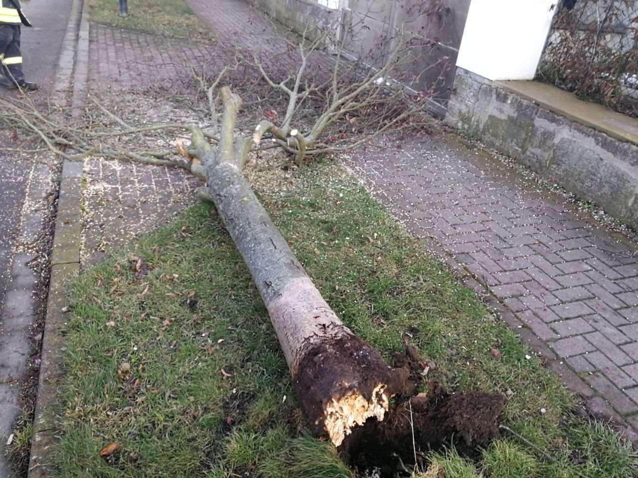 Bild: Unwetter im Stadtgebiet 9