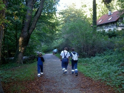 Bild der Galerie
