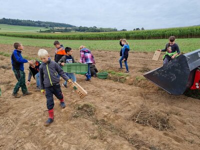 Foto des Albums: Besuch auf dem Bio-Hof Klasse 3b