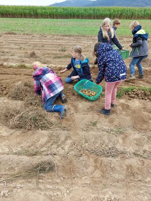 Foto des Albums: Besuch auf dem Bio-Hof Klasse 3b