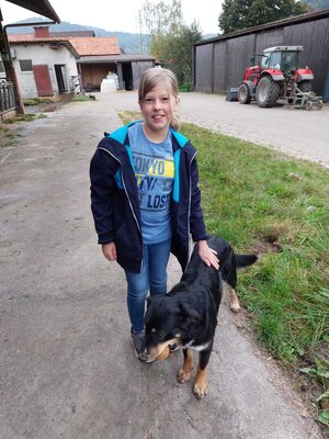 Foto des Albums: Besuch auf dem Bio-Hof Klasse 3b