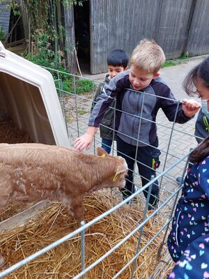 Foto des Albums: Besuch auf dem Bio-Hof Klasse 3b