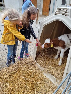Foto des Albums: Besuch auf dem Bio-Hof Klasse 3b