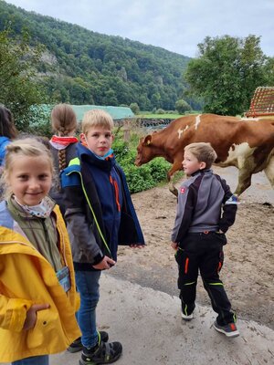 Foto des Albums: Besuch auf dem Bio-Hof Klasse 3b