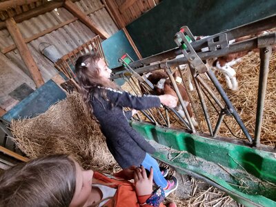 Foto des Albums: Besuch auf dem Bio-Hof Klasse 3b