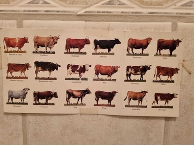 Foto des Albums: Besuch auf dem Bio-Hof Klasse 3b