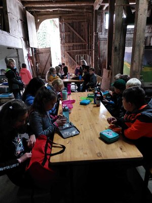 Foto des Albums: Besuch auf dem Bio-Hof Klasse 3b