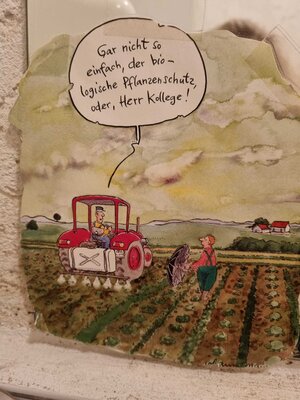 Foto des Albums: Besuch auf dem Bio-Hof Klasse 3b