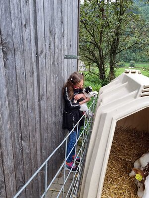 Foto des Albums: Besuch auf dem Bio-Hof Klasse 3b
