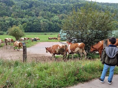 Foto des Albums: Besuch auf dem Bio-Hof Klasse 3b