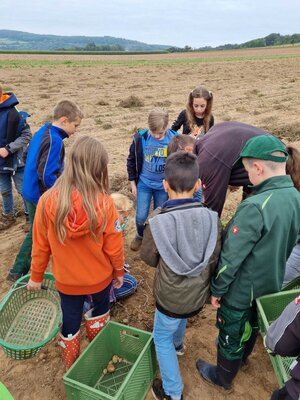 Foto des Albums: Besuch auf dem Bio-Hof Klasse 3b