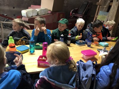 Foto des Albums: Besuch auf dem Bio-Hof Klasse 3b