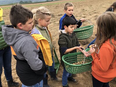 Foto des Albums: Besuch auf dem Bio-Hof Klasse 3b