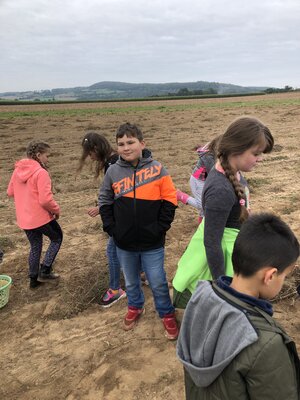 Foto des Albums: Besuch auf dem Bio-Hof Klasse 3b
