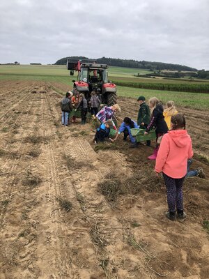 Foto des Albums: Besuch auf dem Bio-Hof Klasse 3b
