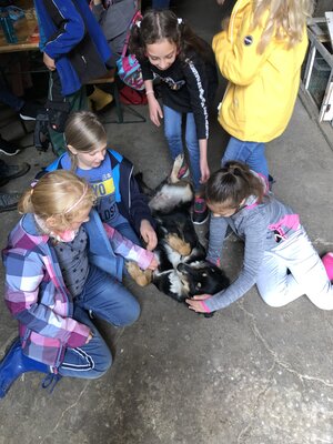 Foto des Albums: Besuch auf dem Bio-Hof Klasse 3b