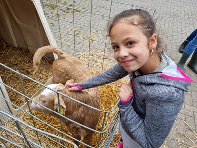 Foto des Albums: Besuch auf dem Bio-Hof Klasse 3b